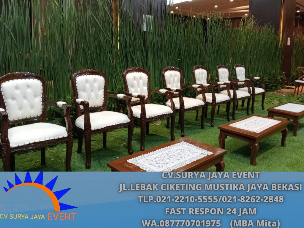 Sewa Kursi Vip Jokowi Terbaru Area Jakarta
